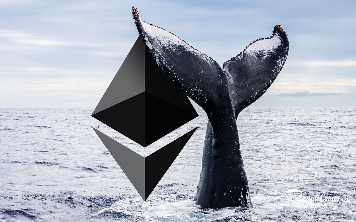crypto whales large buy orders